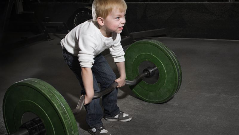 Scheda Palestra Dimagrimento E Definizione Project Invictus