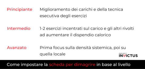 Scheda Palestra Dimagrimento E Definizione Project Invictus