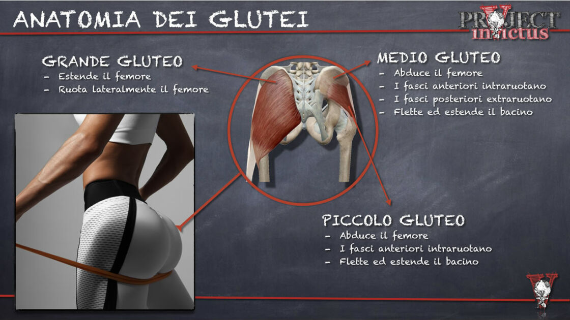 Allenamento glutei: quali sono i migliori esercizi? - Project inVictus