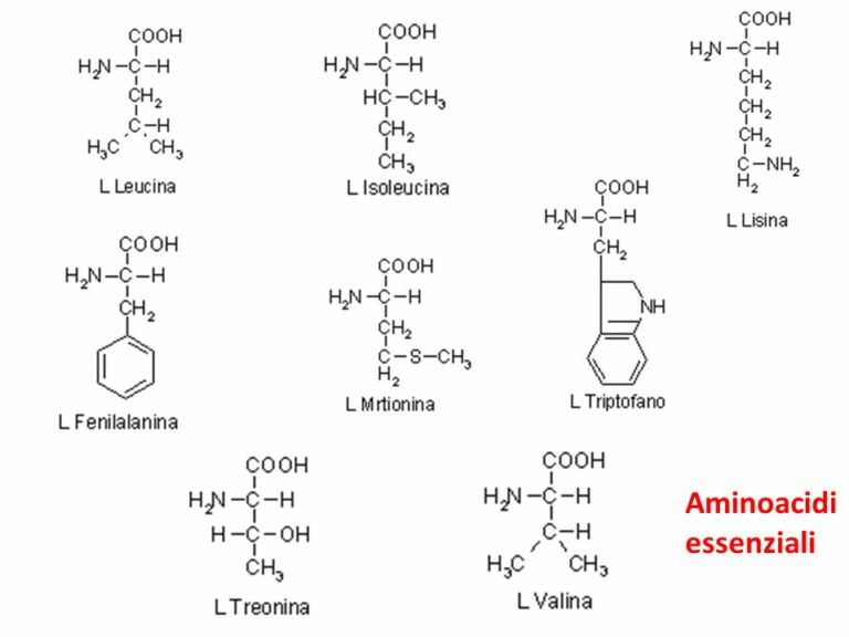 Aminoacidi: ABC di biochimica