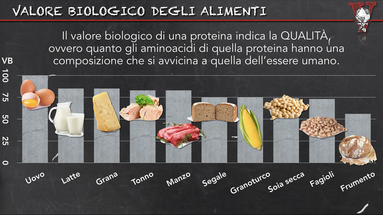 Aminoacidi E Proteine Insieme Fanno Male